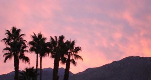 Palm Springs, CA